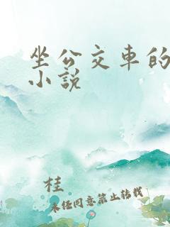 坐公交车的苏晴小说