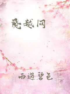 飞越网