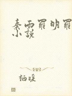 秦雨罗明罗兴旺小说