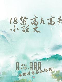 18禁高h高辣小说文