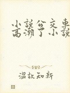 小说公交车被上高潮了小说