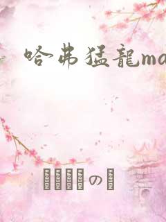 哈弗猛龙max