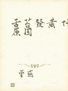 舌苔发黄 什么原因