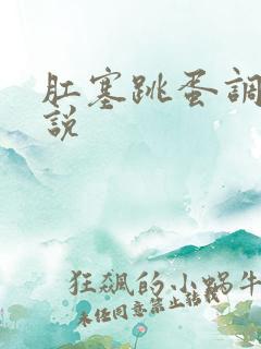 肛塞跳蛋调教小说