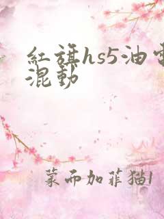 红旗hs5油电混动