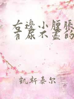 右边小腹胀痛总有尿不尽的感觉什么原因