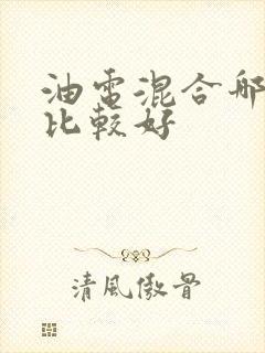 油电混合哪款车比较好