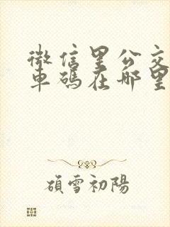 微信里公交车乘车码在哪里