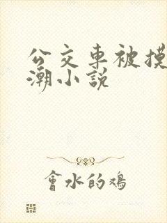 公交车被摸到高潮小说