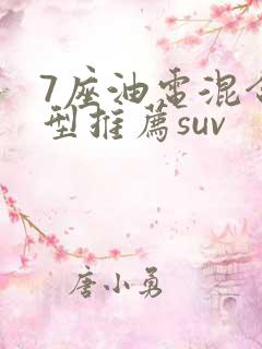 7座油电混合车型推荐suv