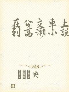 在公交车上被弄到高潮小说