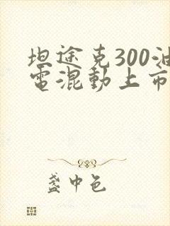 坦途克300油电混动上市时间