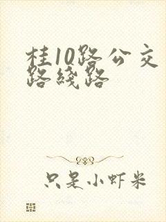 桂10路公交车路线路