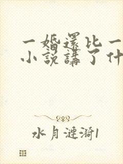 一婚还比一婚高小说讲了什么