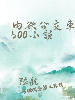 肉欲公交车系列500小说