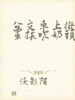 公交车上拨开奶罩揉吮奶头