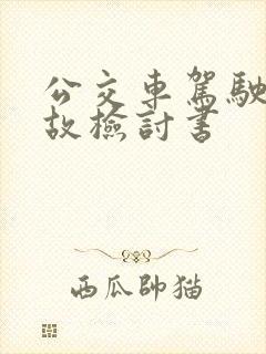 公交车驾驶员事故检讨书