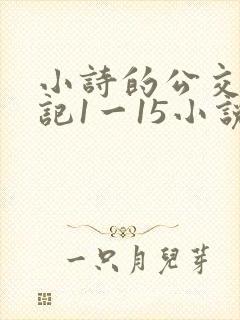 小诗的公交车日记1一15小说内容