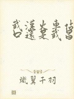 武汉火车站是汉口还是武昌