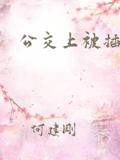 公交上被插小说