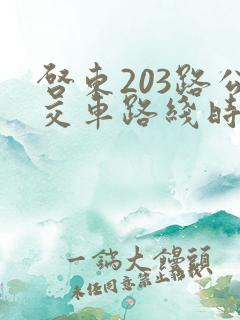 启东203路公交车路线时间表