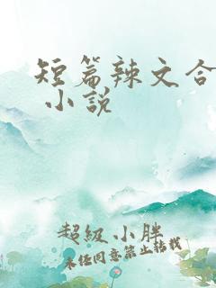 短篇辣文合集. 小说