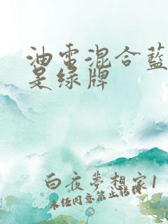 油电混合蓝牌还是绿牌