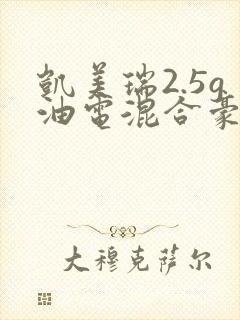 凯美瑞2.5g油电混合豪华版