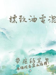 标致油电混