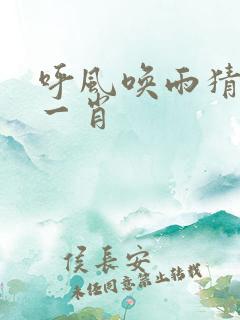 呼风唤雨猜最佳一肖