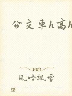 公交车h高h