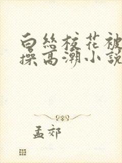 白丝校花被校长操高潮小说