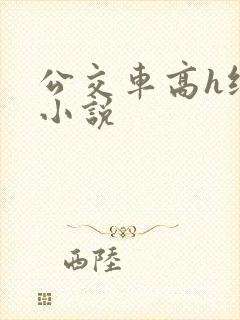 公交车高h纯肉小说