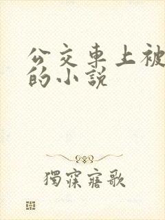 公交车上被玩弄的小说