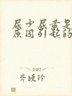 尿少尿黄是什么原因引起的
