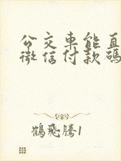 公交车能直接扫微信付款码吗?