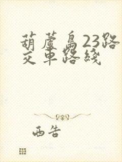 葫芦岛23路公交车路线