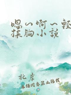 嗯∽啊～轻点禁揉胸小说