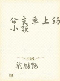 公交车上的乱欲小说