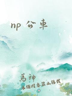 np 公车