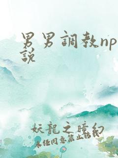 男男调教np小说