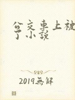 公交车上被高潮了小说