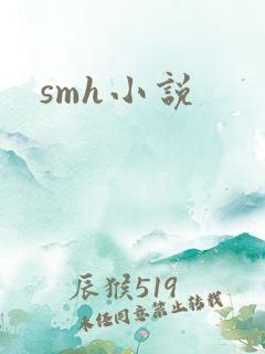 smh小说