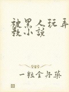 被黑人玩弄h调教小说