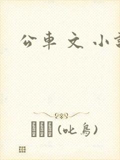公车 文 小说