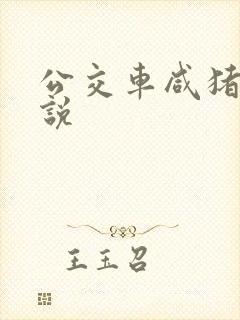 公交车咸猪手小说