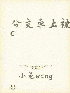 公交车上被狂摸c