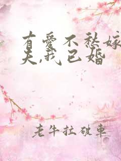有爱不愁嫁:前夫,我已婚