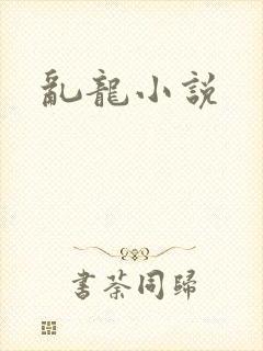 乱龙小说