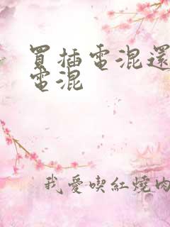买插电混还是油电混